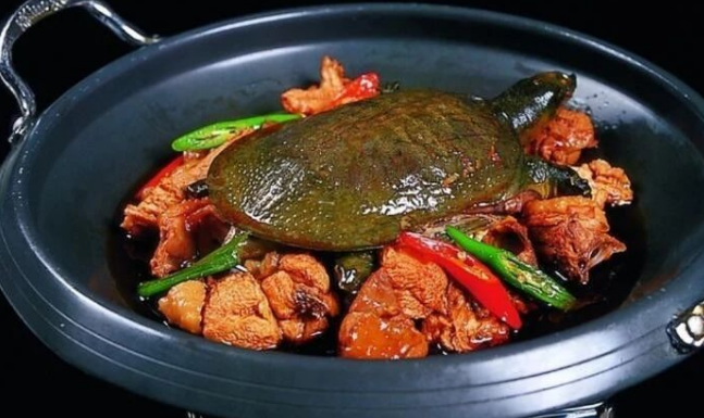 QQ20250507-112005.png QQ20250507-112005.png