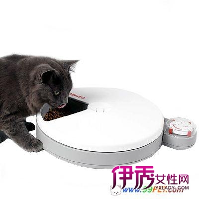 猫咪自动喂食器(图)_宠物水族_宠物-伊秀生活