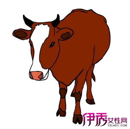 【图】牛的交配时间是什么时候 牛的种类介绍