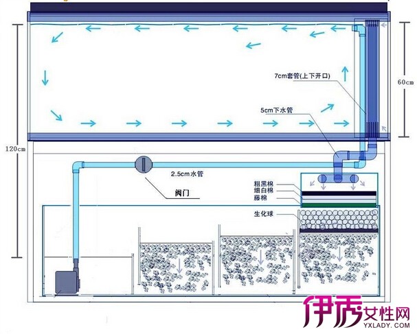 【图】揭秘鱼缸底滤原理 解析其优缺点及如何弥补缺陷