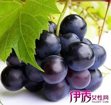 怀孕羊水少能吃葡萄吗|life.yxlady.com-伊秀生活