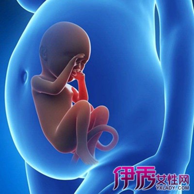 孕妇四个月了能感觉到胎动吗|life.yxlady.com