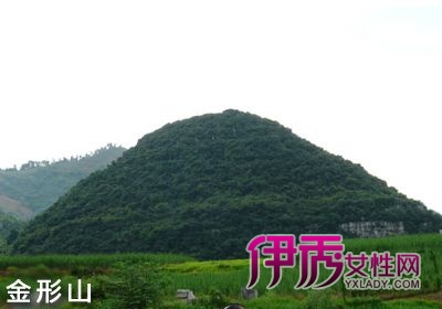山形健作品gif_东尼大木