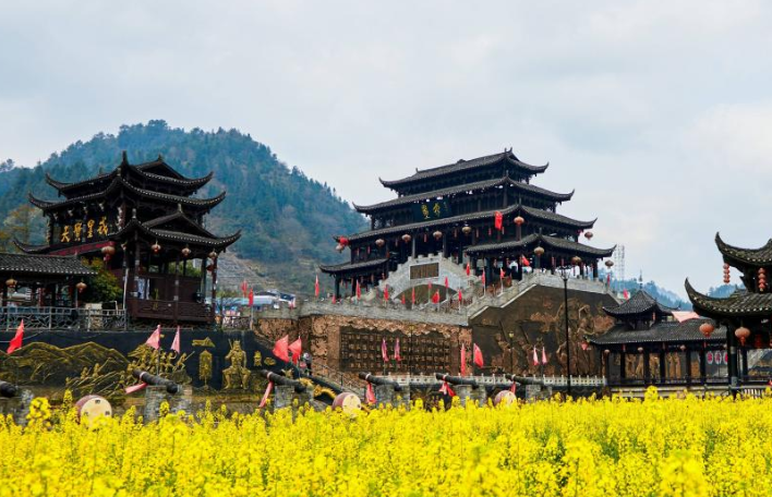 QQ20250510-155044.jpg QQ20250510-155044.jpg