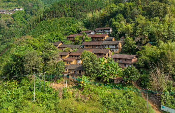 QQ20250510-161445.jpg QQ20250510-161445.jpg