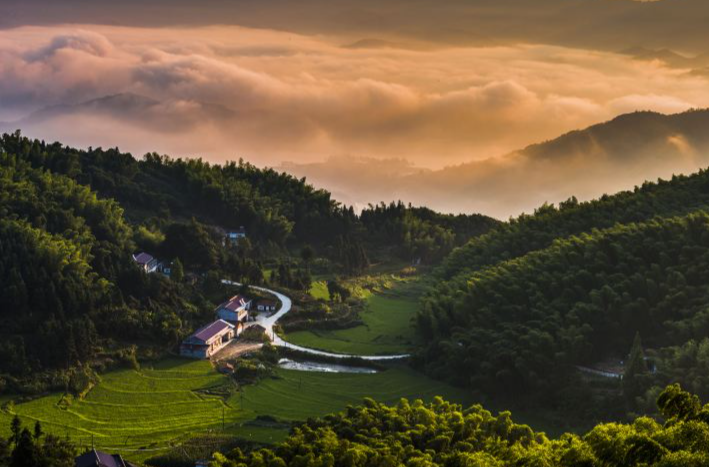 QQ20250513-150623.jpg QQ20250513-150623.jpg