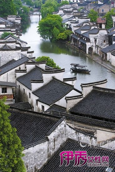 顾渚紫笋茶_长兴紫笋茶价格_长兴紫笋茶_紫笋