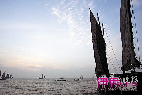 顾渚紫笋茶_长兴紫笋茶价格_长兴紫笋茶_紫笋